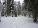 2010-01-26 11-47-40 Domaine d'Autrans-MBo